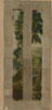 Verdure d'entre-fenêtres avec un arbre et une souche, image 8/8