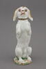 Chien, image 4/4