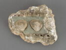 Fragment d'enduit mural, image 2/2