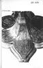 Monstrance-reliquaire, image 25/29