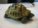Statuette : tortue, image 1/3