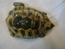 Statuette : tortue, image 3/3