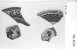 Fragment de l'aile d'un plat, image 3/3