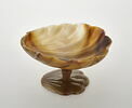 Coupe en forme de coquille, image 1/2