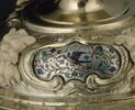 Chope : thiase marin, image 13/15