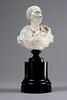 Buste de François-Marie Arouet, dit Voltaire, image 8/8