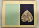Album représentant vingt luohan 罗汉, image 7/30