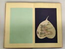 Album représentant vingt luohan 罗汉, image 8/30