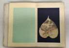 Album représentant vingt luohan 罗汉, image 14/30