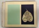 Album représentant vingt luohan 罗汉, image 15/30