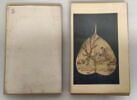 Album représentant vingt luohan 罗汉, image 17/30