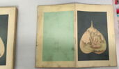 Album représentant vingt luohan 罗汉, image 21/30