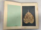 Album représentant vingt luohan 罗汉, image 23/30