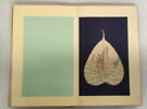 Album représentant vingt luohan 罗汉, image 26/30