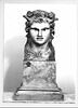 Pilier hermaïque : faune, image 10/10