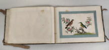 Petit album de peintures d'exportation: fleurs, oiseaux et insectes, image 22/31