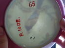Petite coupe en porcelaine coquille d'oeuf à revers rubis, image 7/9