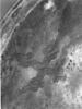 Calice, image 6/7