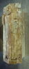 sarcophage, image 11/20