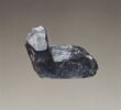 poids, image 2/3