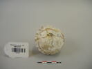 vase, image 2/3