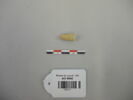 perle, image 1/2