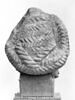 statue, image 6/7