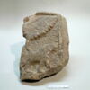 relief perforé, image 3/3