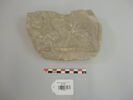 relief perforé, image 2/3