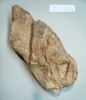 stèle, image 2/2