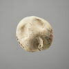 bouchon de vase, image 2/2