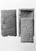 tablette ; enveloppe de tablette, image 15/29