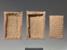 tablette ; enveloppe de tablette, image 2/6