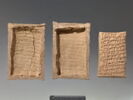 tablette ; enveloppe de tablette, image 3/6