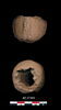 bulle de scellement, image 1/2