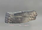 chapiteau, image 3/3