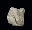relief, image 3/3