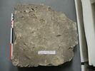 brique, image 2/2