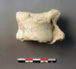 osselet, image 1/2