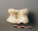 osselet, image 2/2