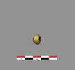 perle, image 1/2