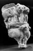 vase, image 4/4
