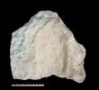 crapaudine, image 1/2