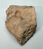 brique, image 2/2
