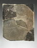 tablette, image 1/4