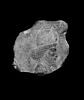 relief, image 1/2