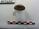 bulle de scellement, image 1/2