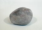 poids, image 3/3
