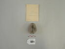 poids, image 1/3