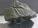 vase, image 4/4
